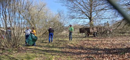 photo 2025 04 12 15 13