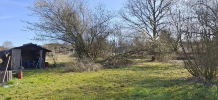 photo 2025 04 12 15 130