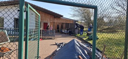 photo 2025 04 12 15 13 41