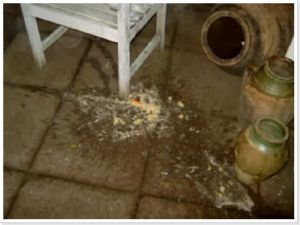 img 1199433373 364 lg