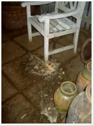 img 1199433381 891 lg